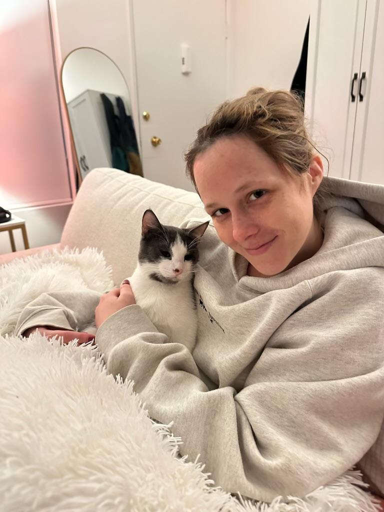 Enlarge Fenix, a Adoptable Tabby in Los Angeles , CA image 2/6