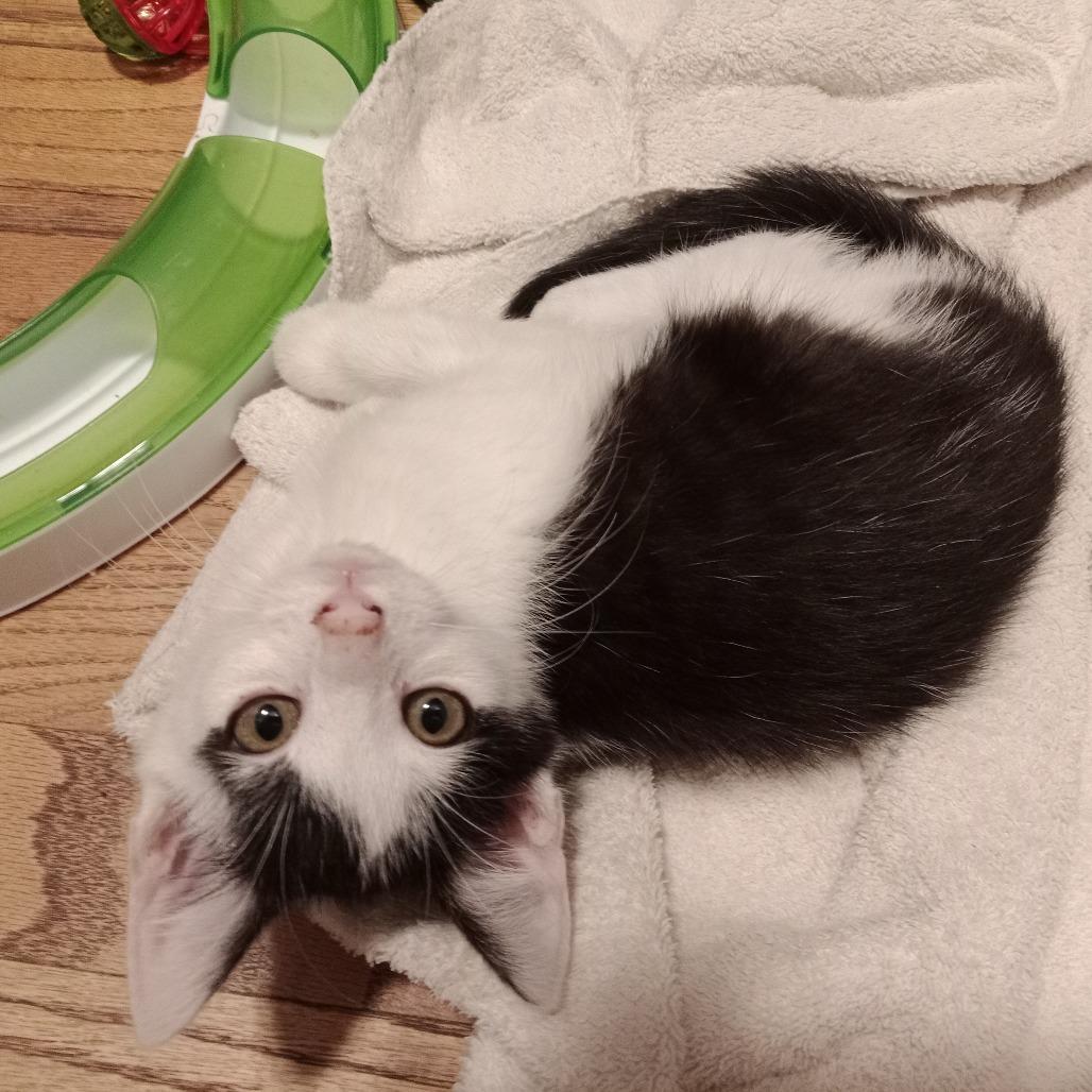 Two Percent thumbnail 3