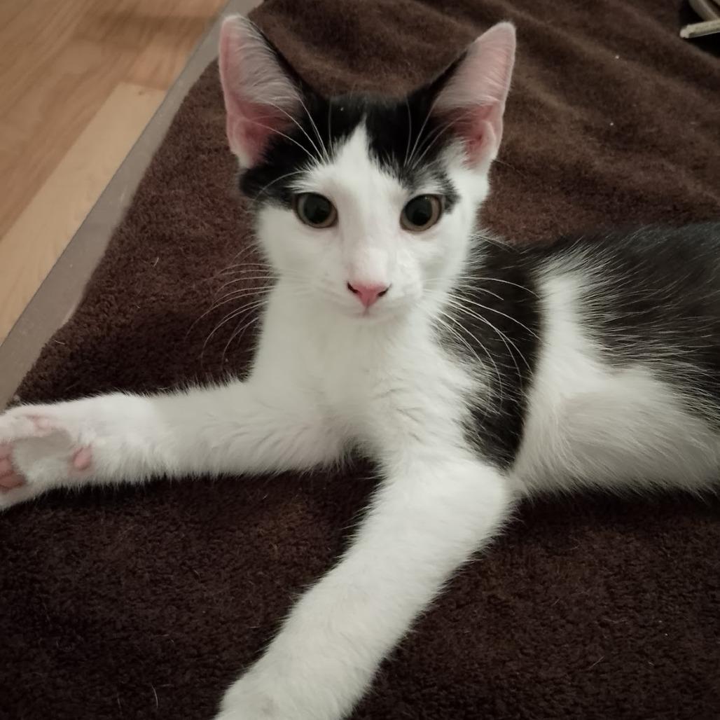 Two Percent thumbnail 4