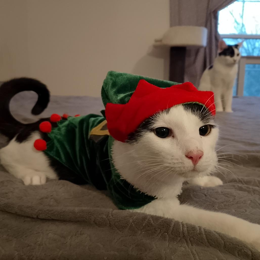 Two Percent thumbnail 5