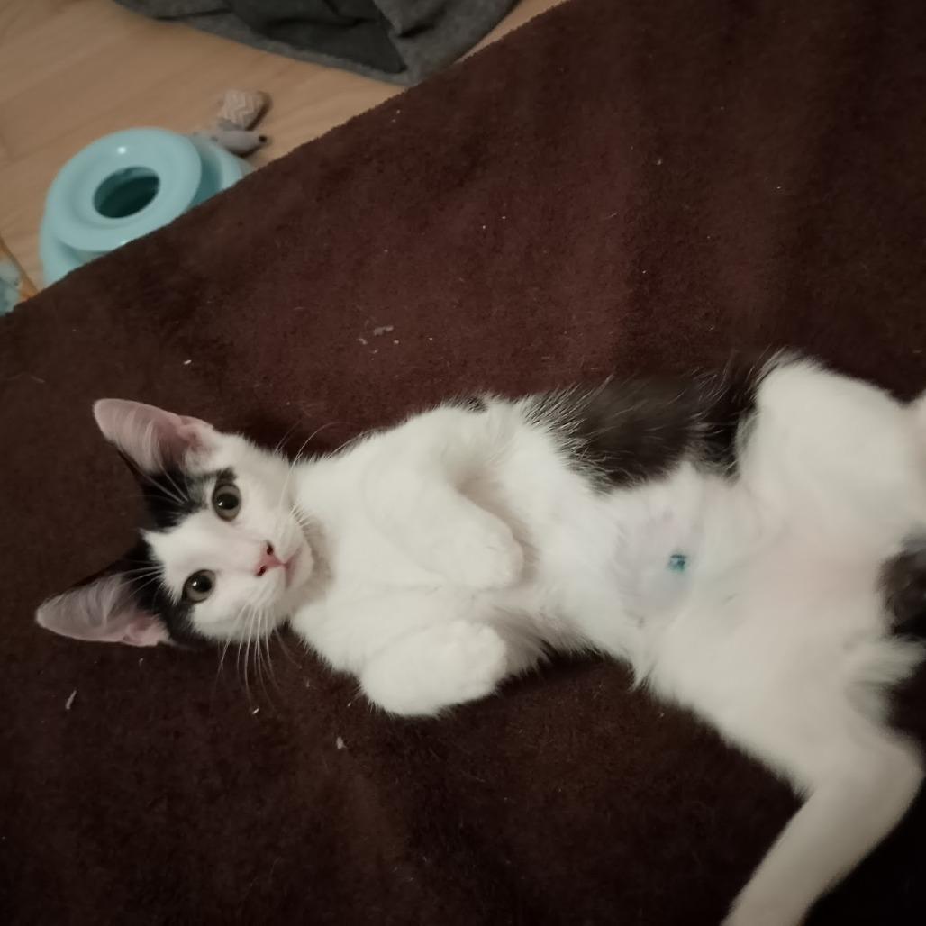 Two Percent thumbnail 6