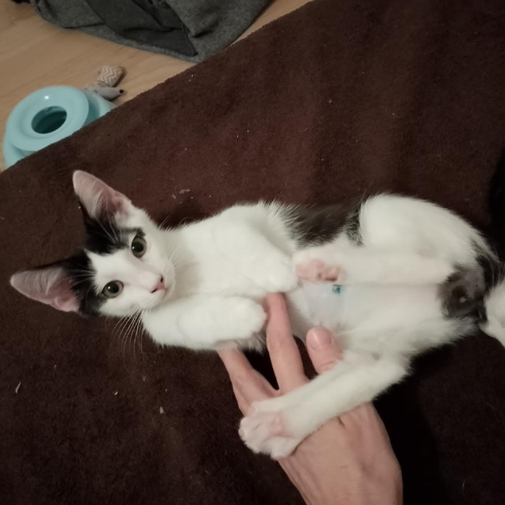 Two Percent thumbnail 7