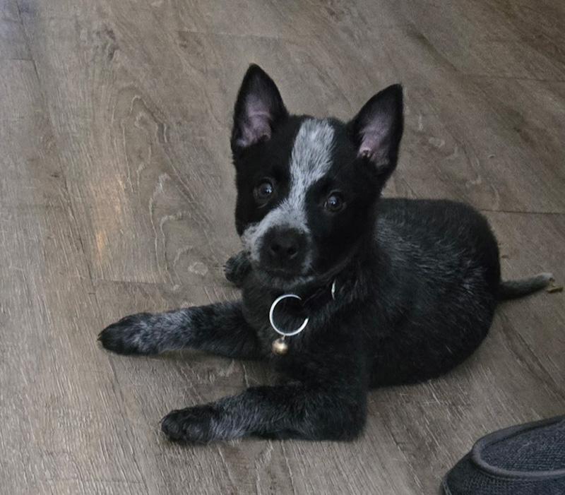 Steak Sauce thumbnail 2