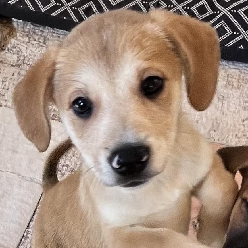 John John thumbnail 3