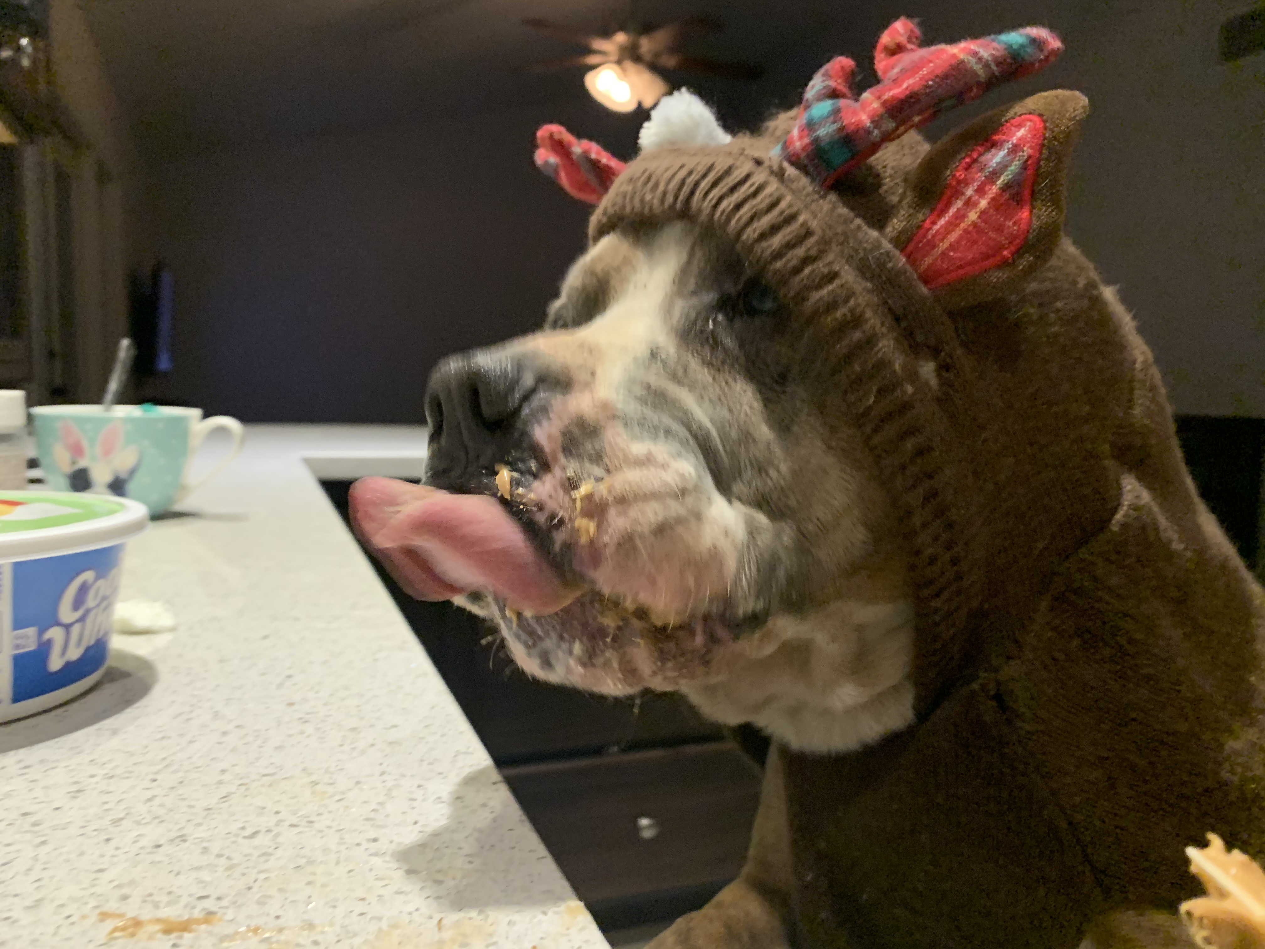 HUGGIE BEAR photo 5