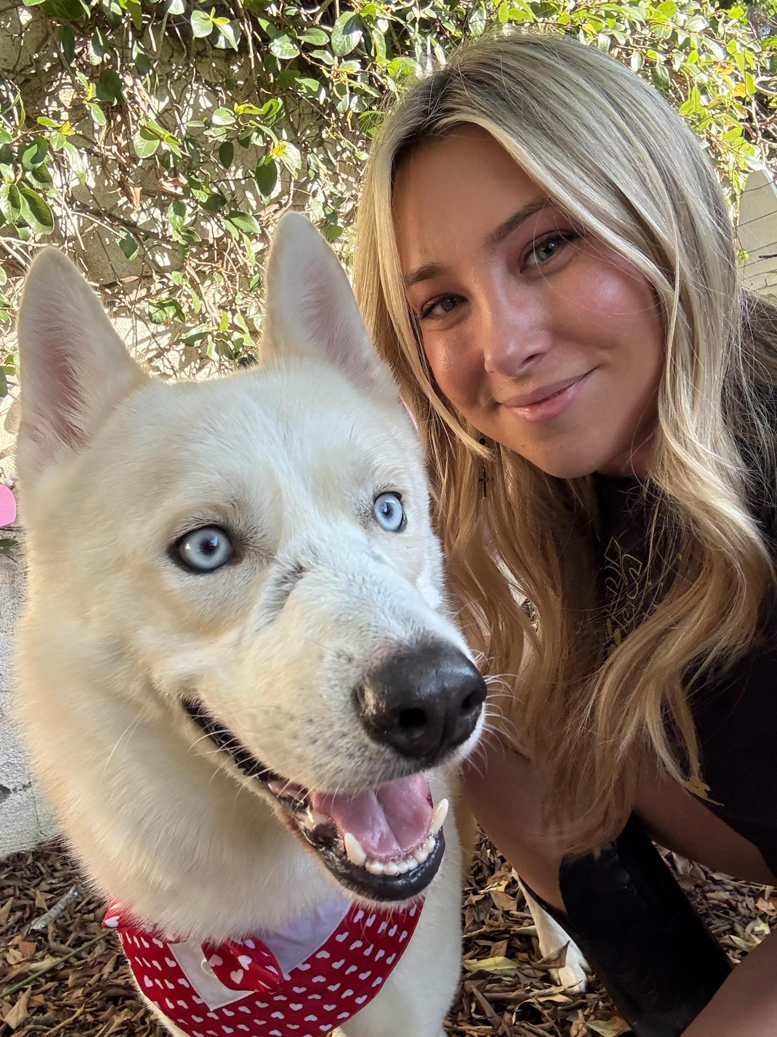 Enlarge Nikolai, a Adoptable mixed breed in santa monica, CA image 1/6