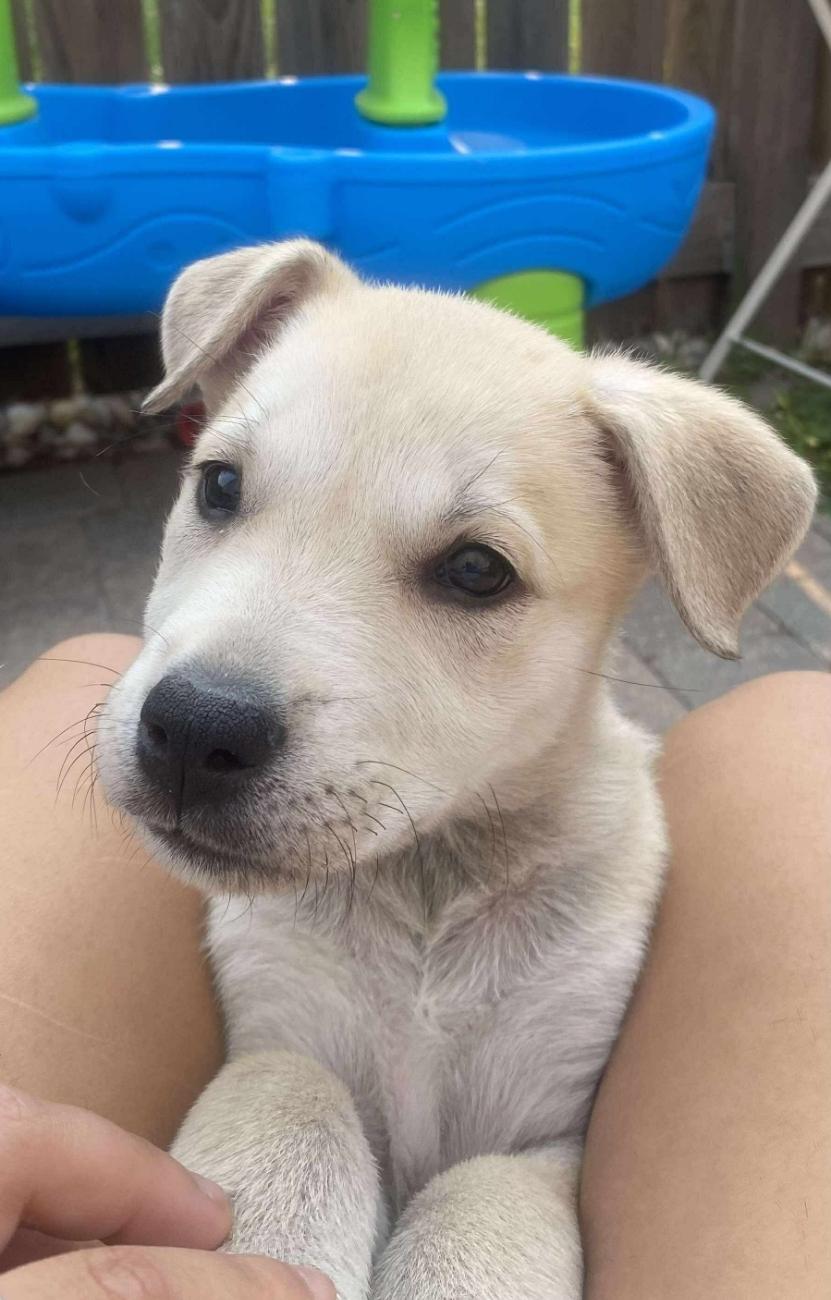 Millie, Baby Female unknown