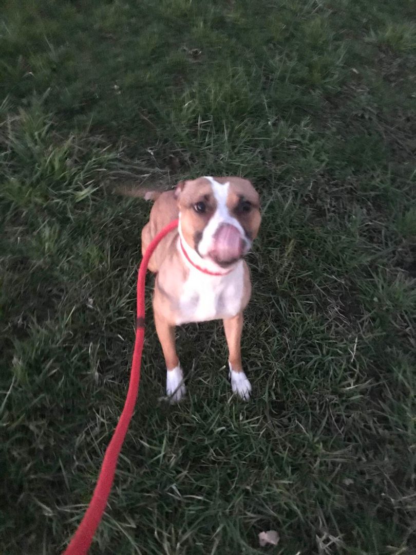 Marimba  Hammond  thumbnail 2