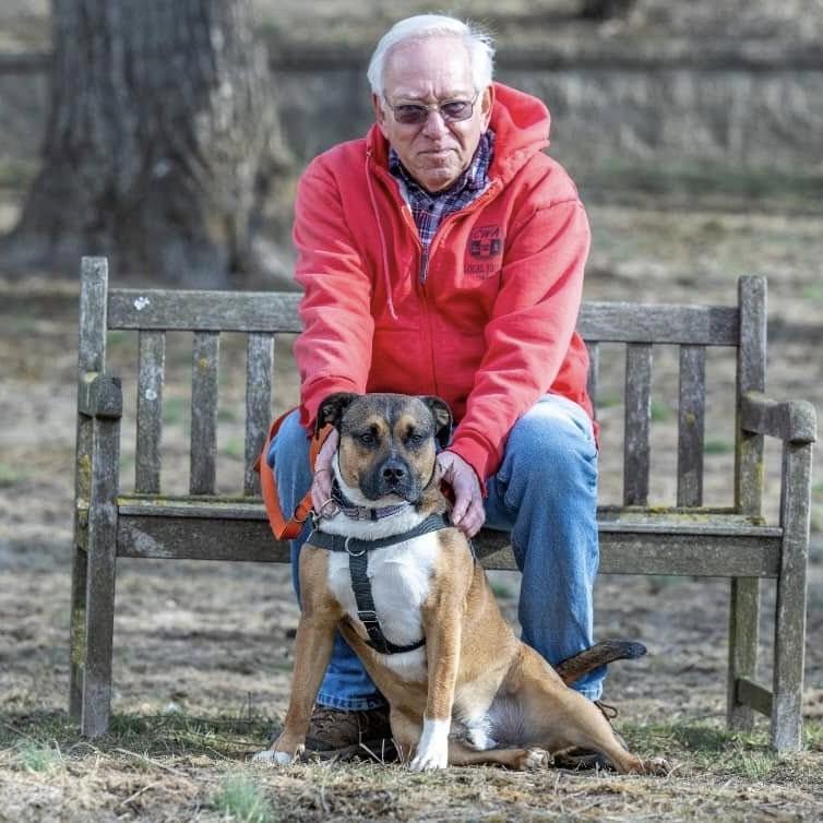 Enlarge Beso, a Adoptable mixed breed in Phoenixville, PA image 5/6