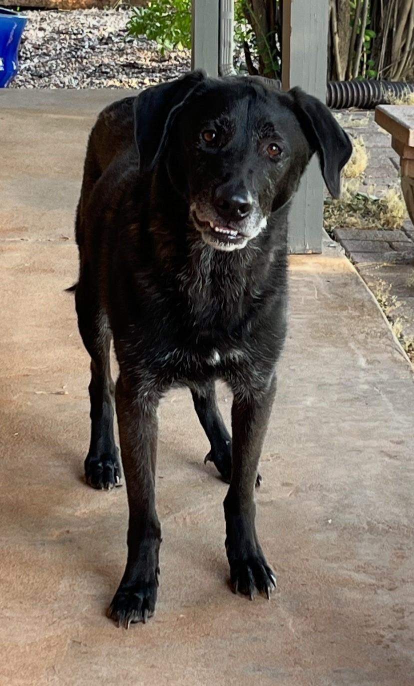 Blackie