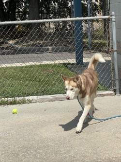 Remy photo 2