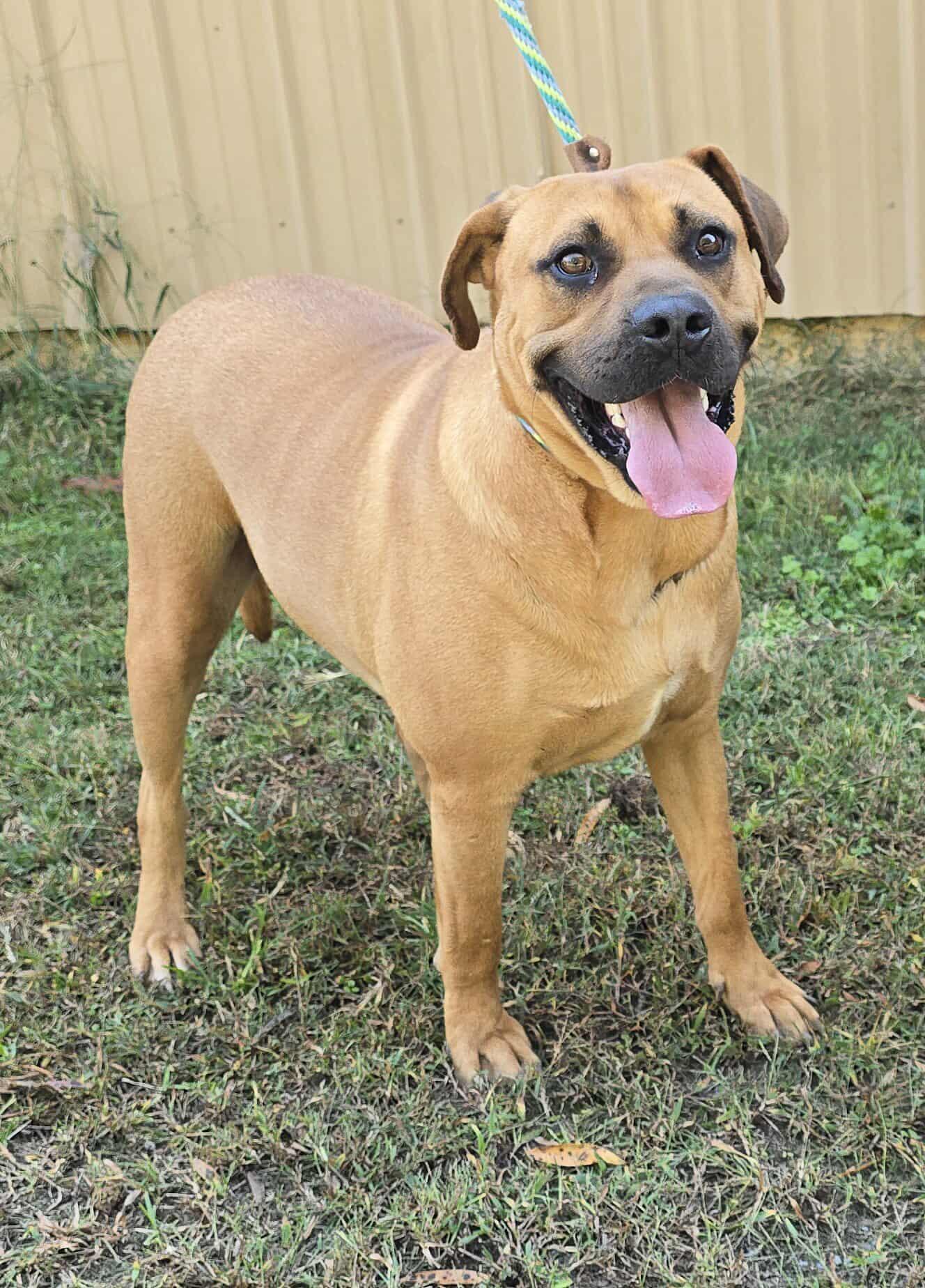 Bon Jovi *foster needed*