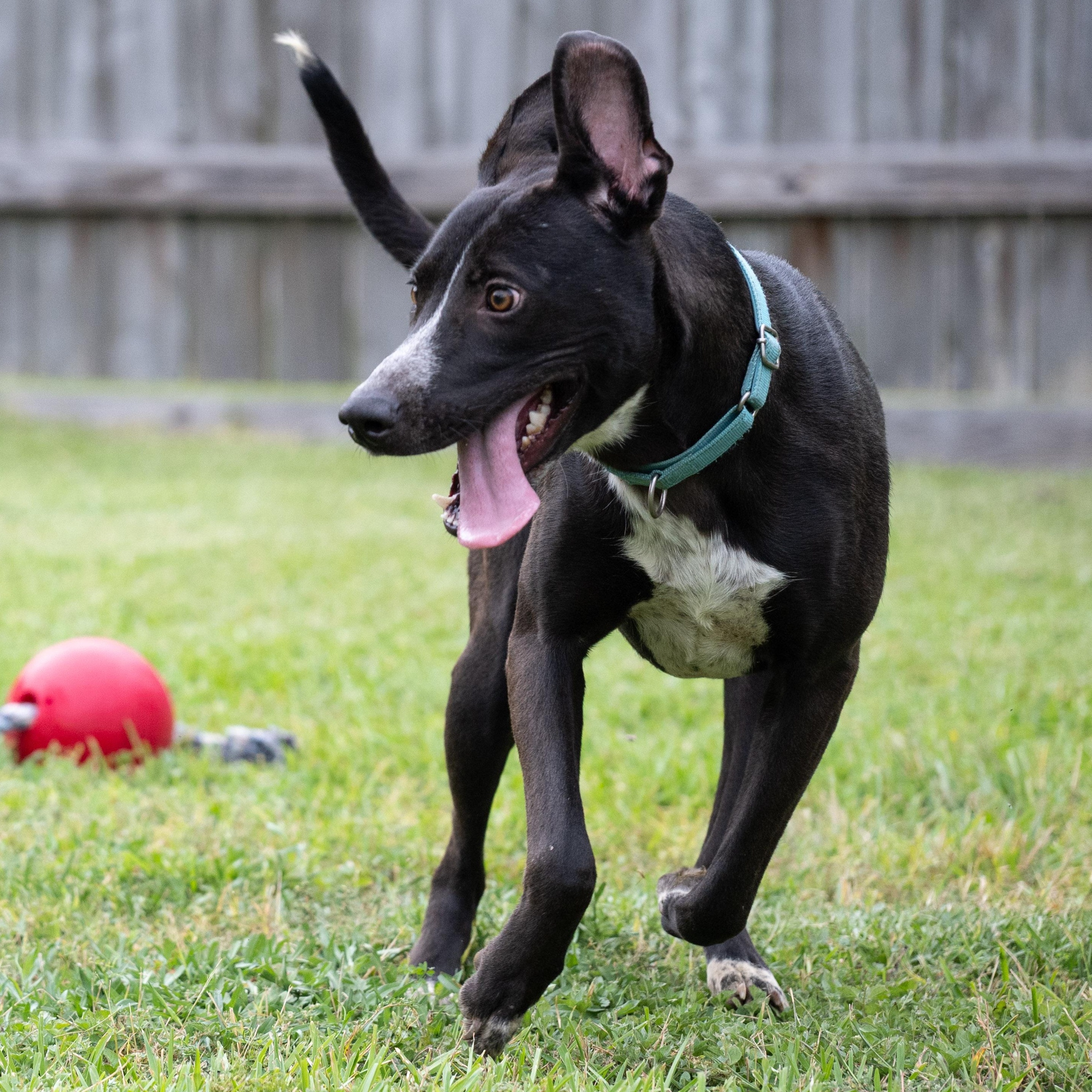 Miley — thumbnail 2