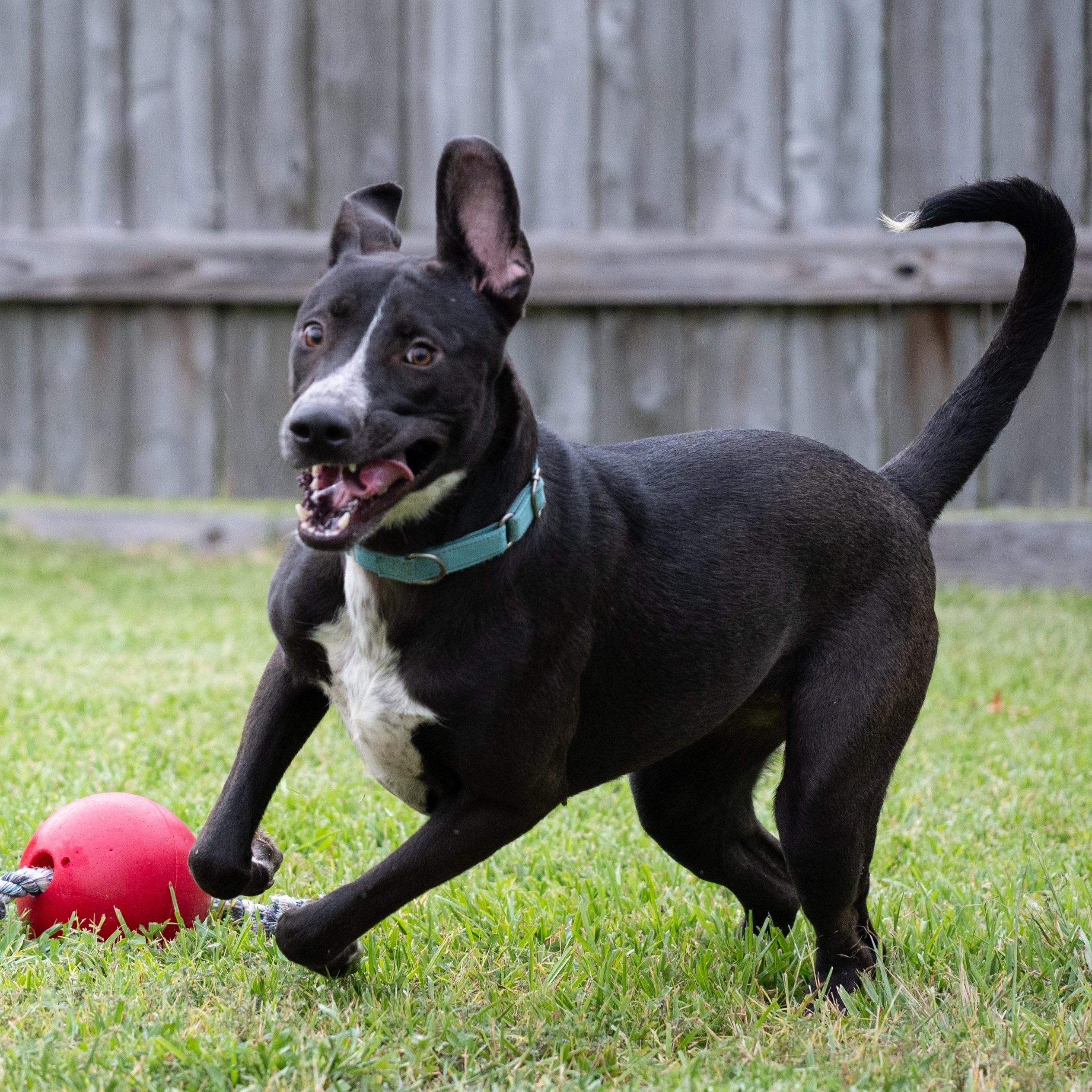 Miley — thumbnail 5