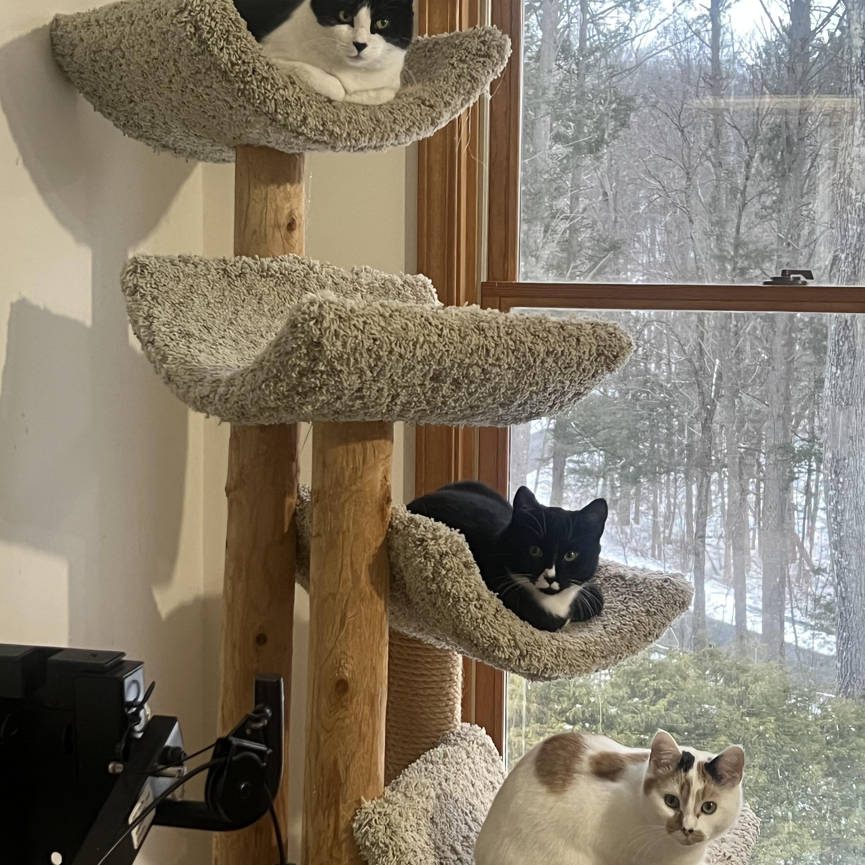 Drea  Caitlin & thumbnail 3