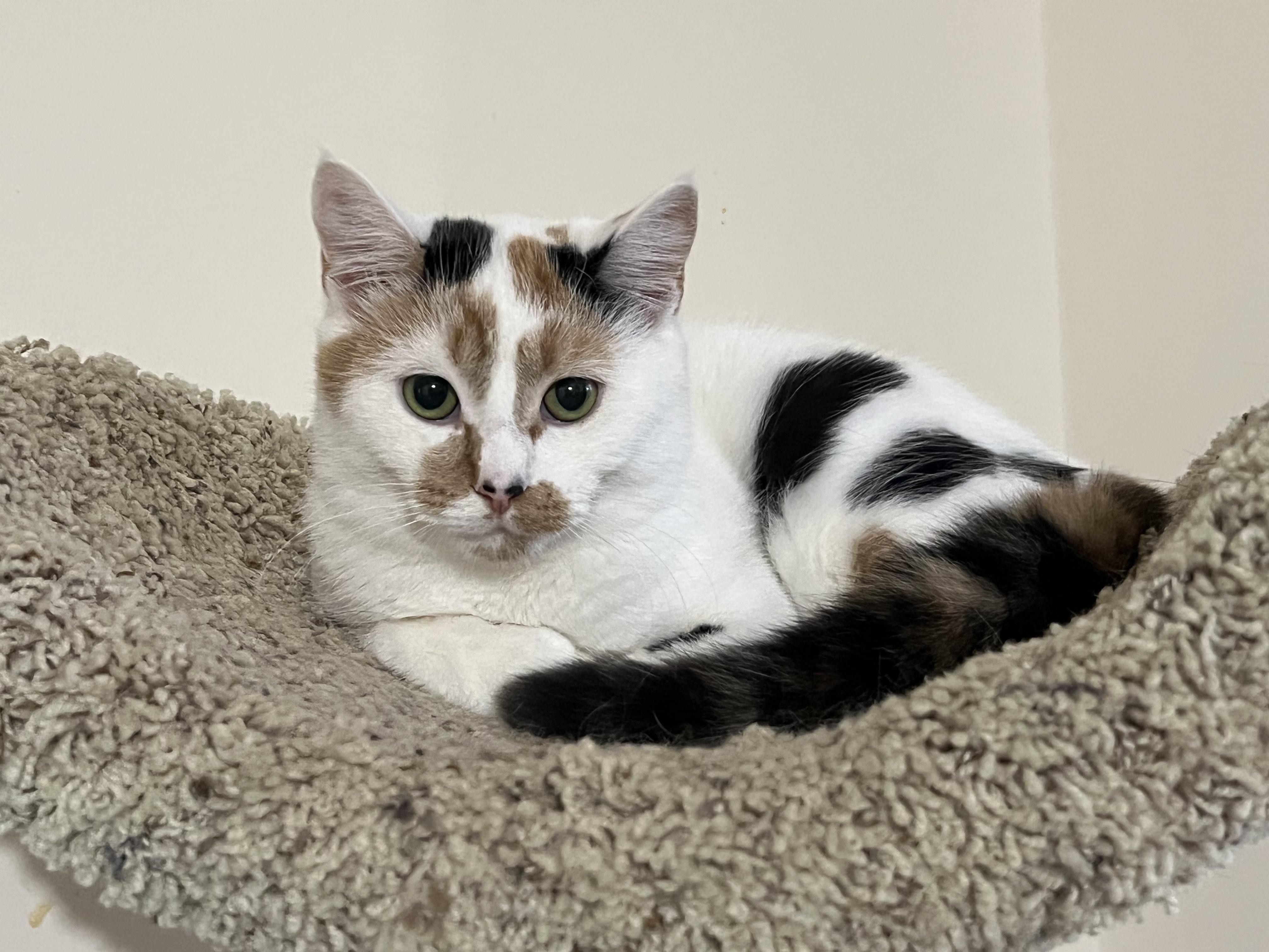 Drea  Caitlin & thumbnail 4