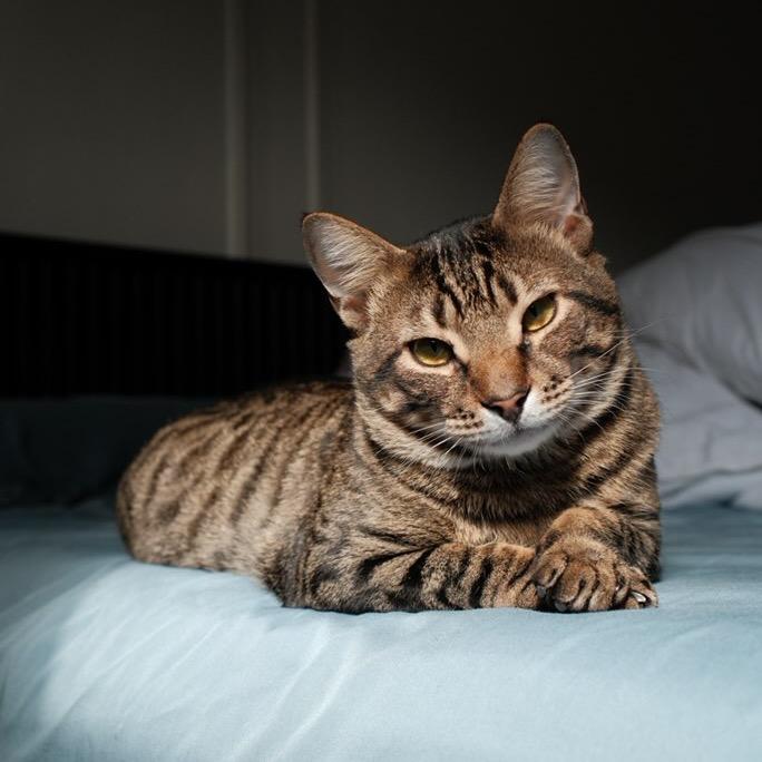 Gabriel — thumbnail 6