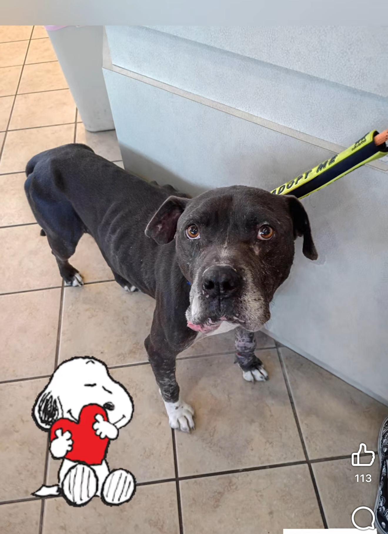 MIDNIGHT — thumbnail 2