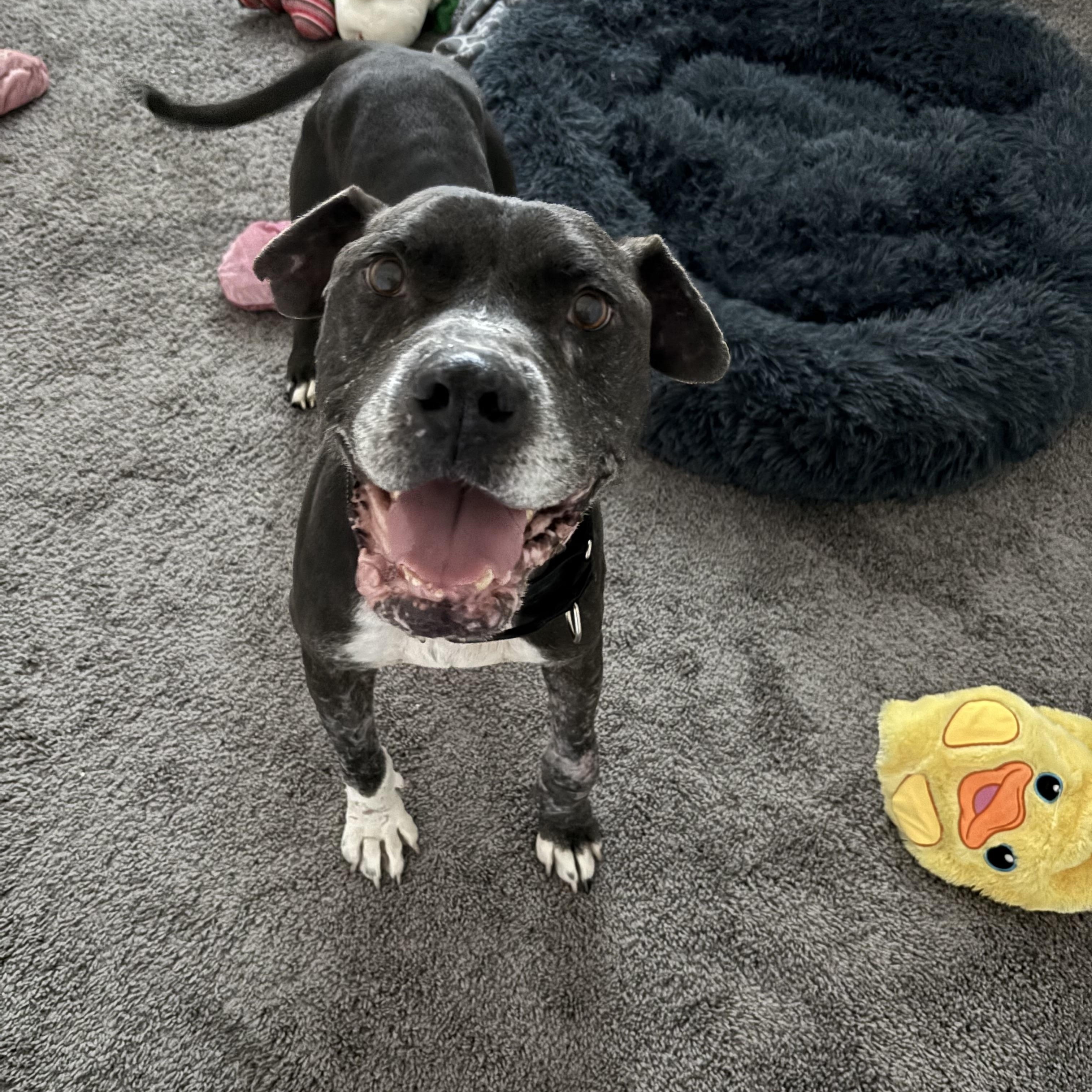 MIDNIGHT — thumbnail 3