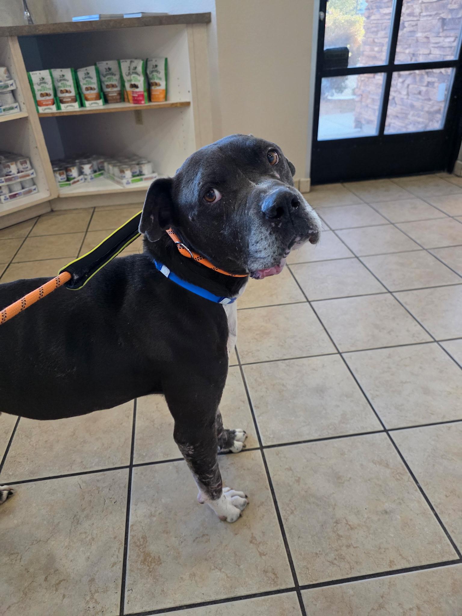 MIDNIGHT — thumbnail 4