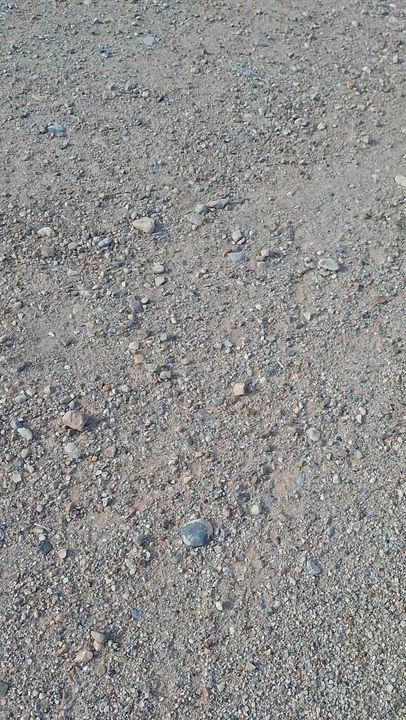 Enlarge Frosty, a ADOPTABLE mixed breed in Tombstone, AZ video 2/3