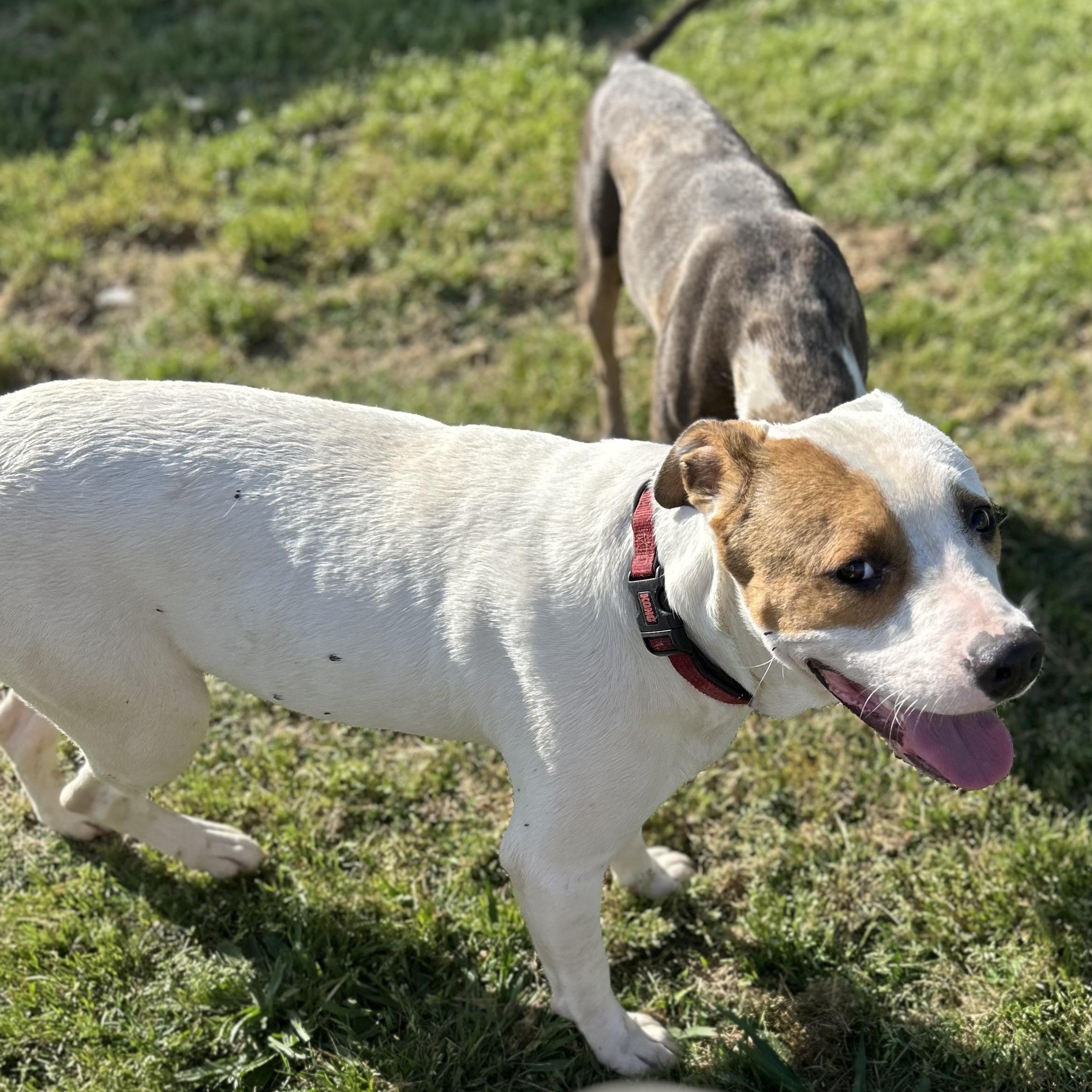 Petey Bubba photo 1