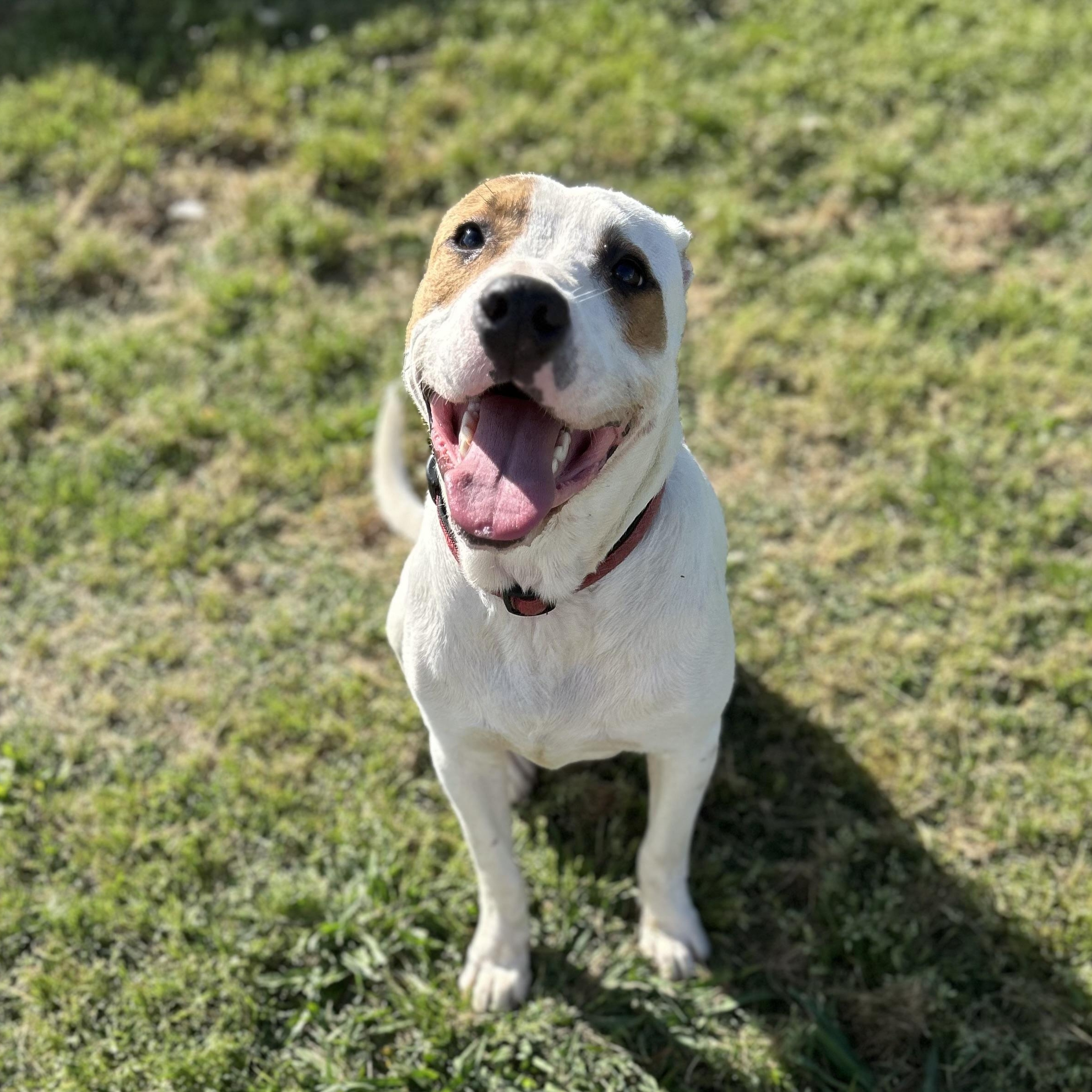 Petey Bubba photo 2