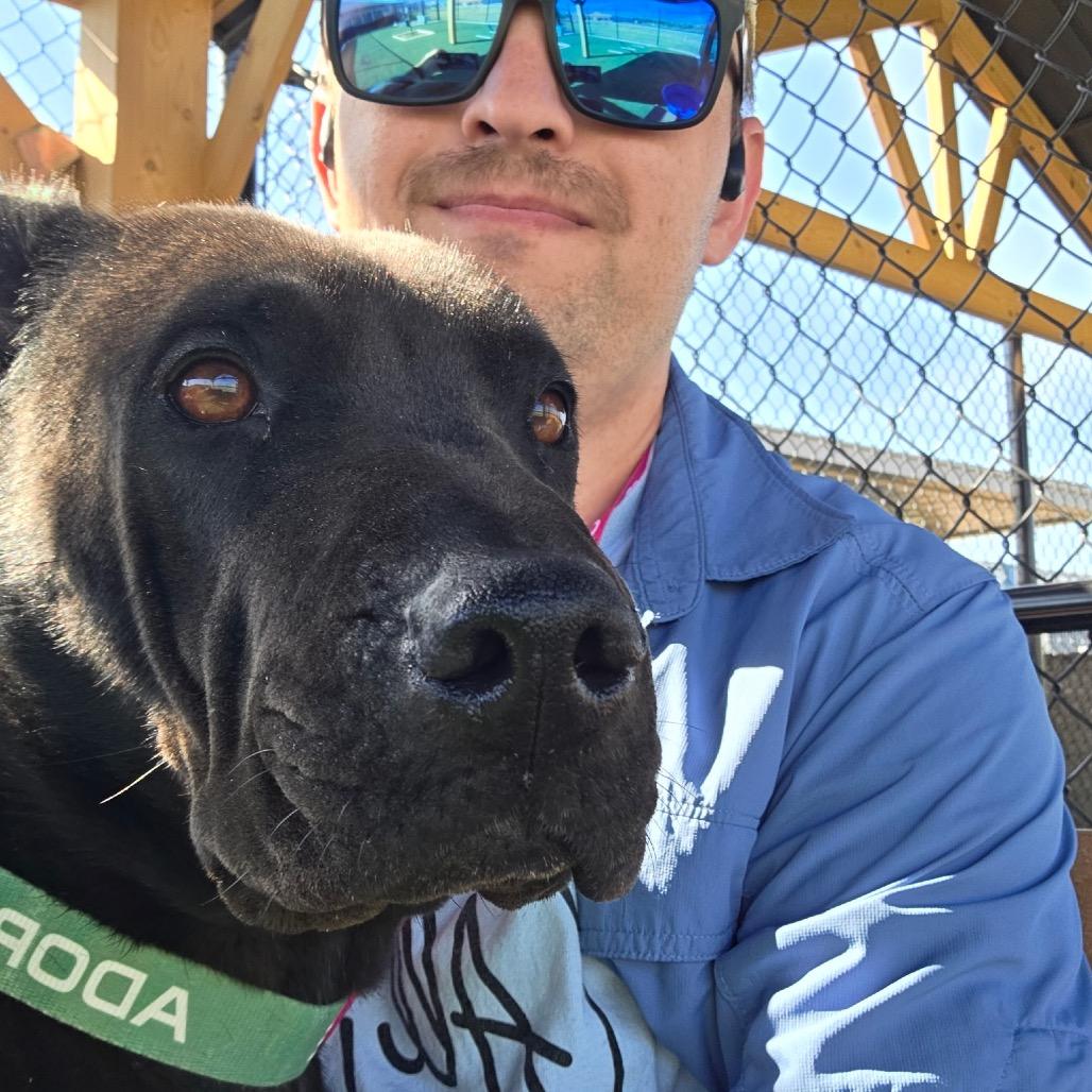 Enlarge Asterbolt, a Adoptable mixed breed in Abilene, TX image 2/6