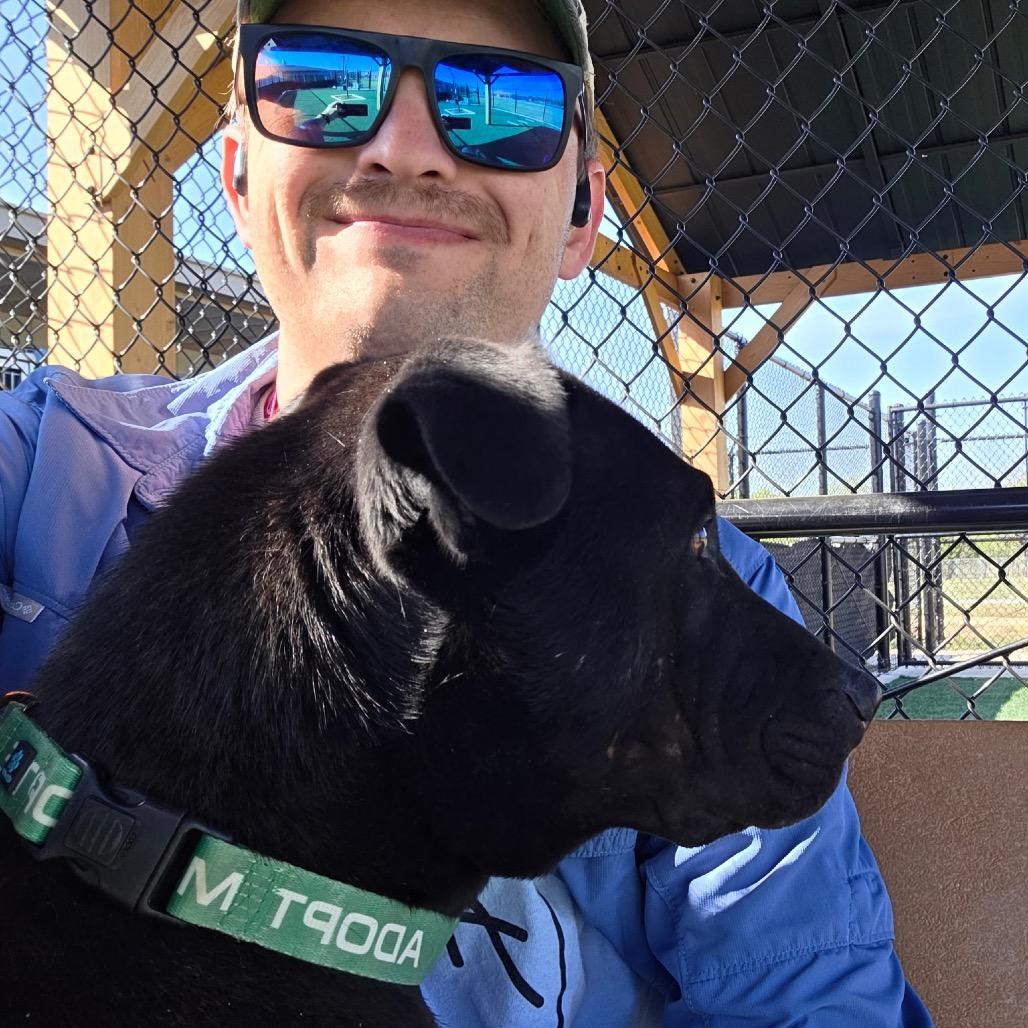 Enlarge Asterbolt, a Adoptable mixed breed in Abilene, TX image 4/6