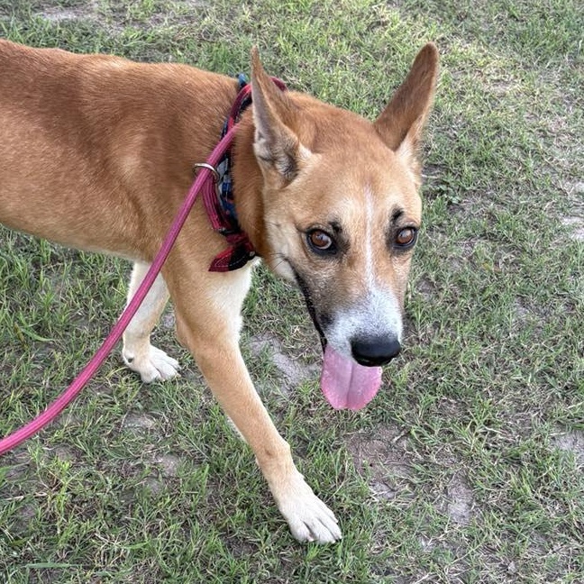 Flako — thumbnail 3