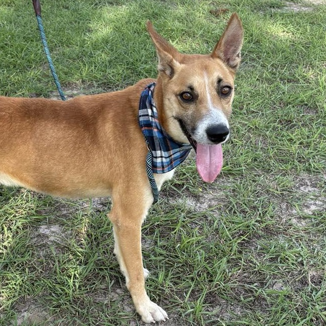 Flako — thumbnail 4