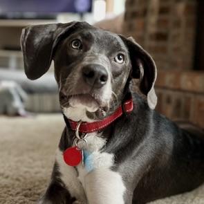 Winnie photo 2