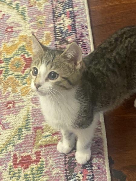 Penny — thumbnail 2