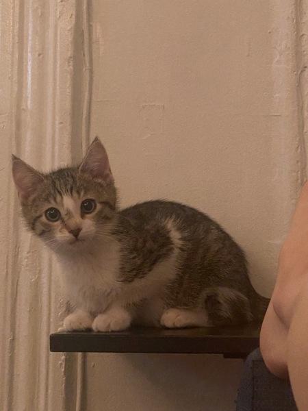 Penny — thumbnail 5