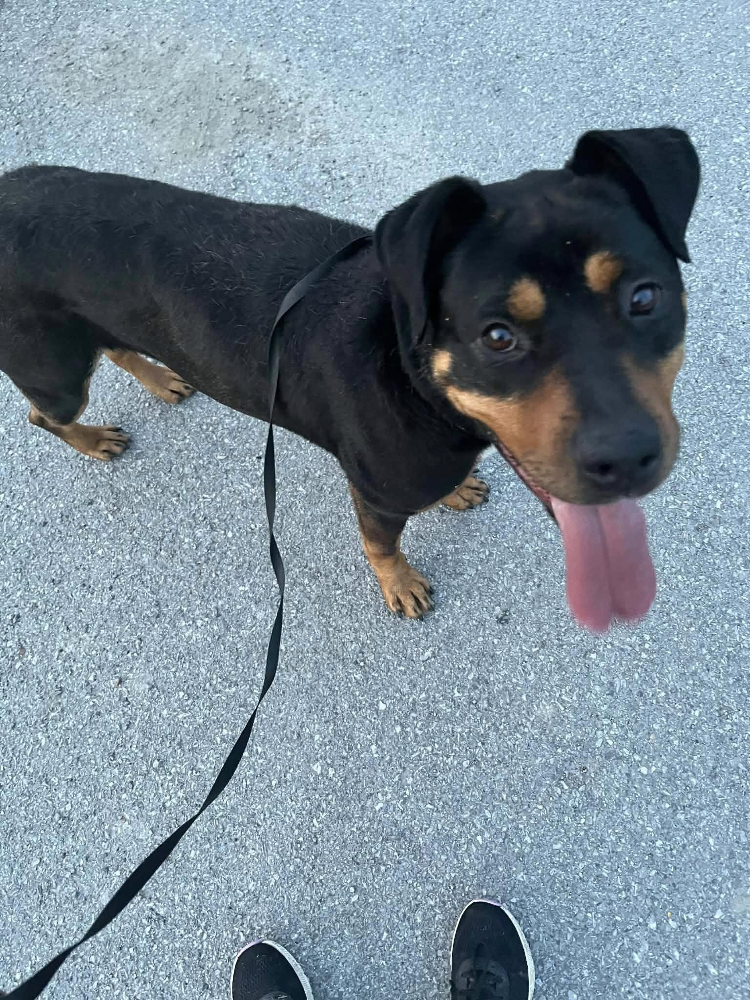 Peaches (20251222-18) — thumbnail 2