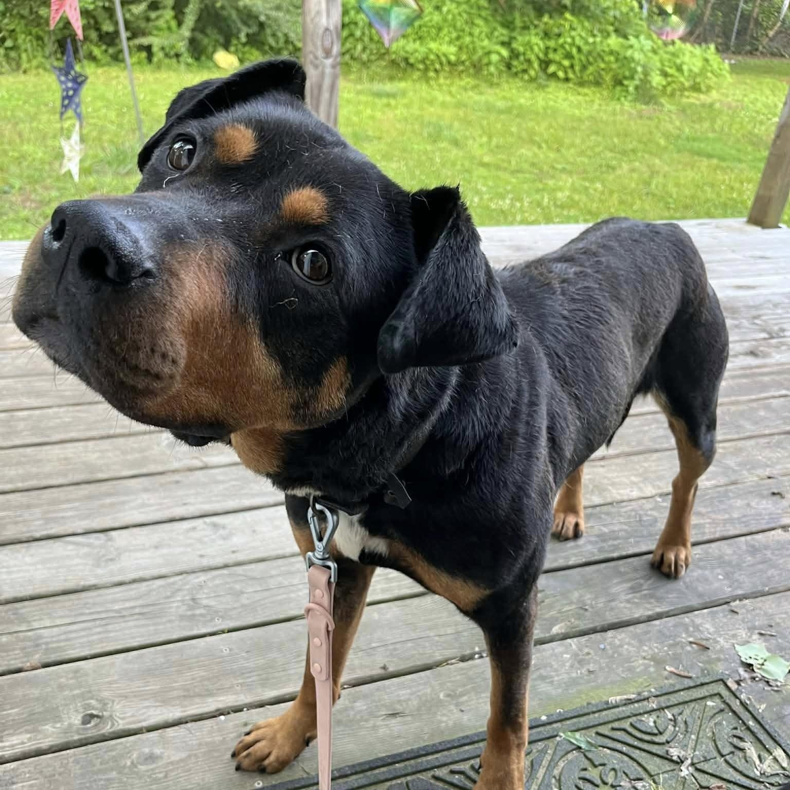 Peaches (20251222-18) — thumbnail 3