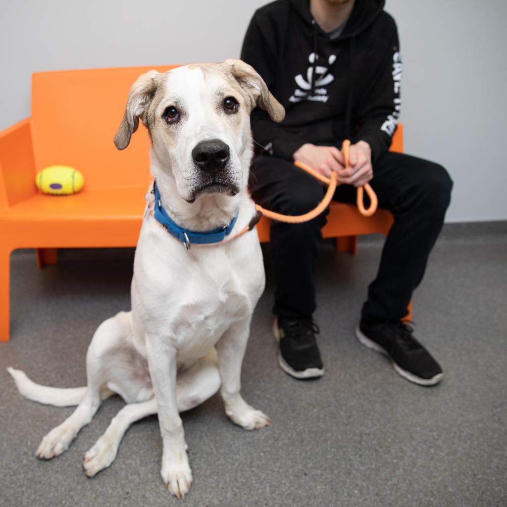 Stewie — thumbnail 3