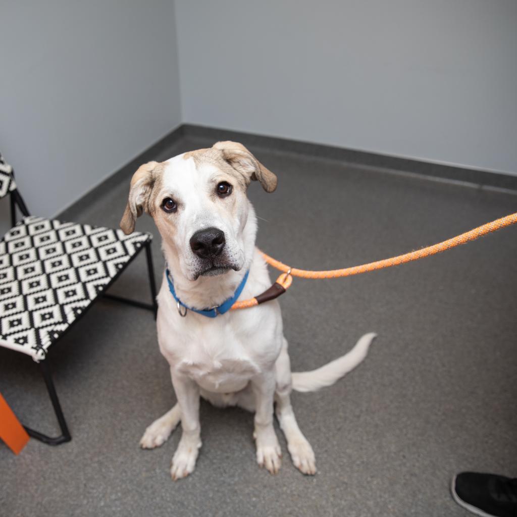 Stewie — thumbnail 6