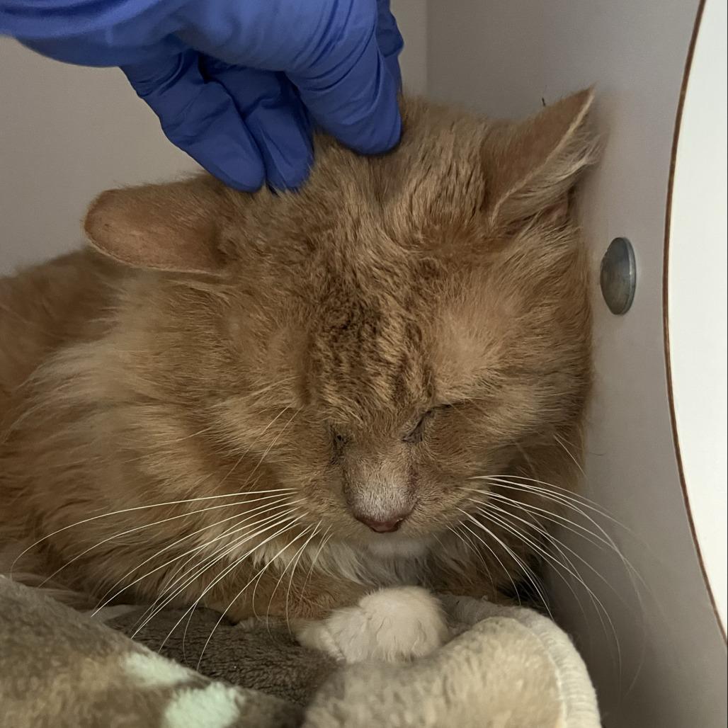 Camden — thumbnail 2