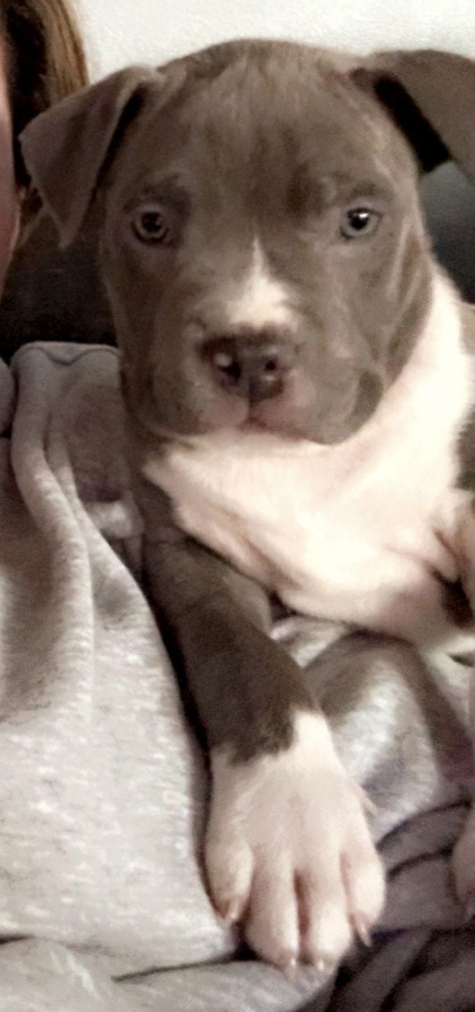 Bourbon — thumbnail 2