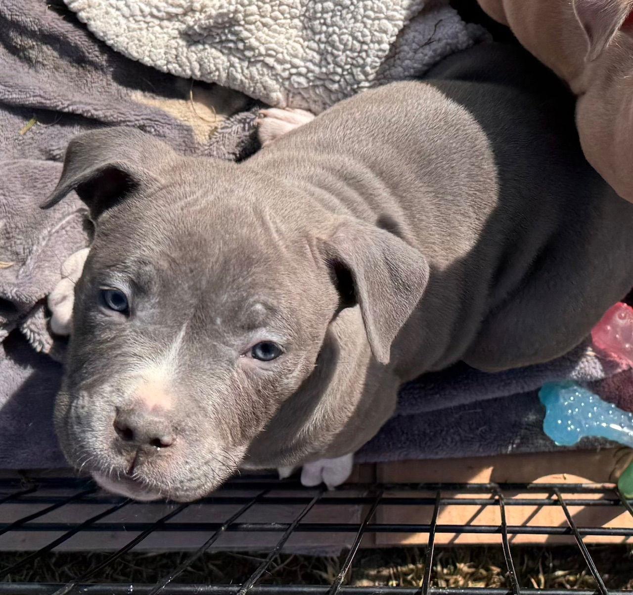 Bourbon — thumbnail 3