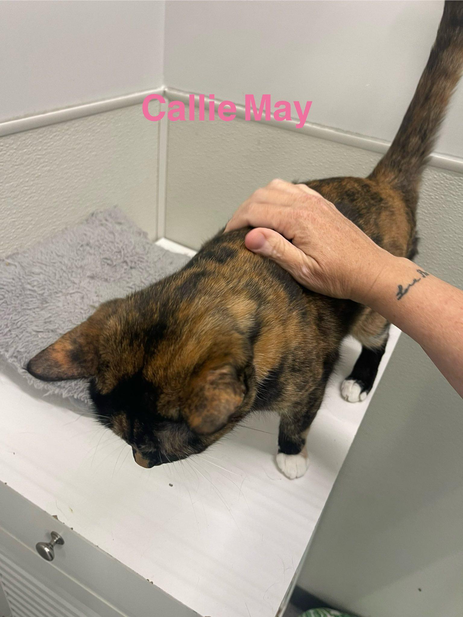 Callie May thumbnail 2