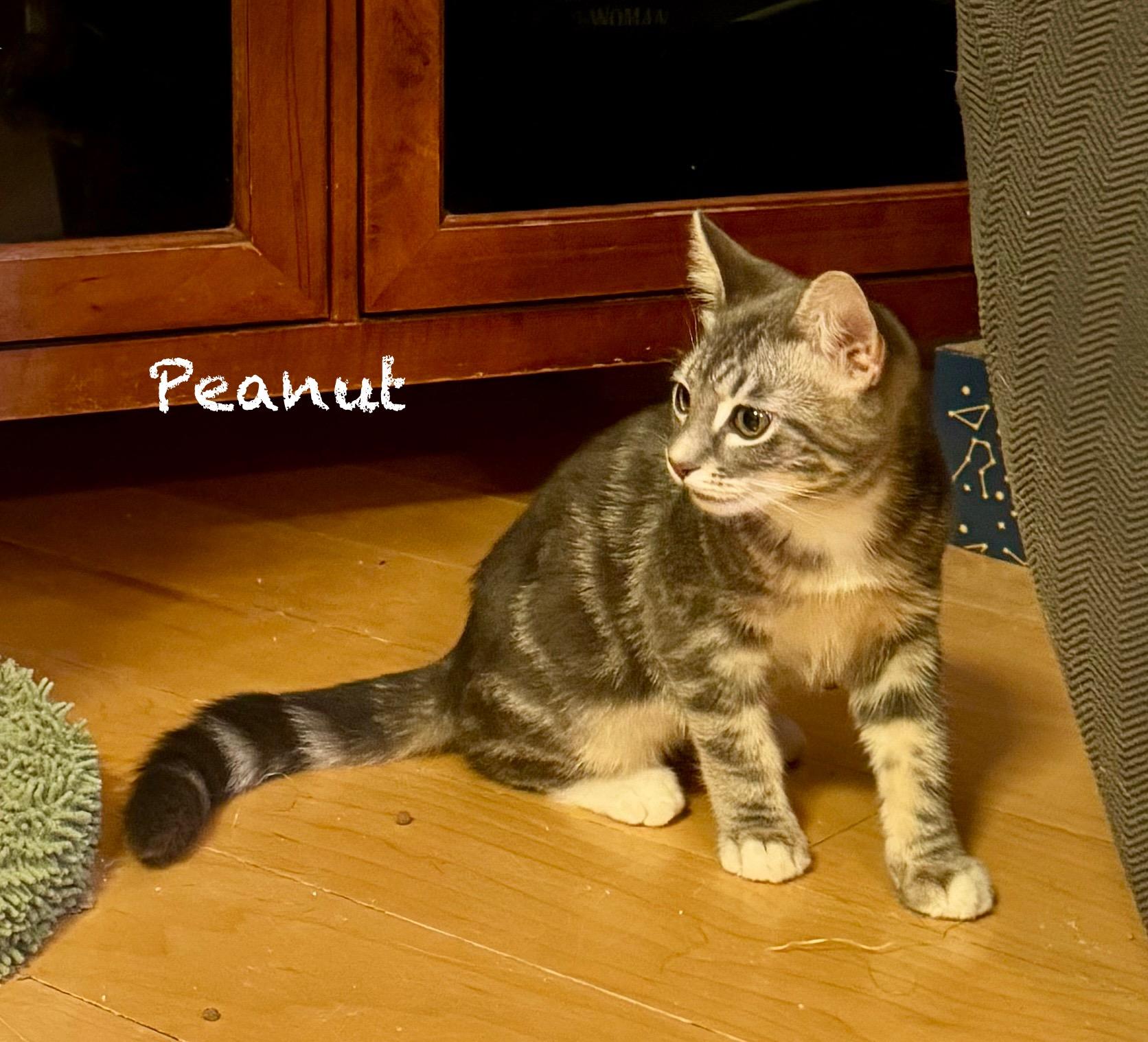 Peanut