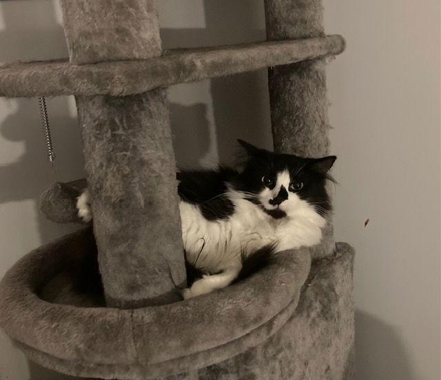 Fran Bonded With Mallory thumbnail 2