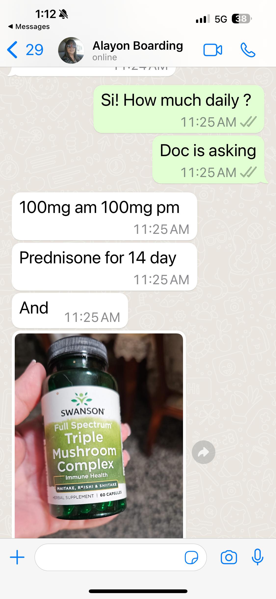 Enlarge NICOLE, a Adoptable mixed breed in Rincon, PR image 3/5