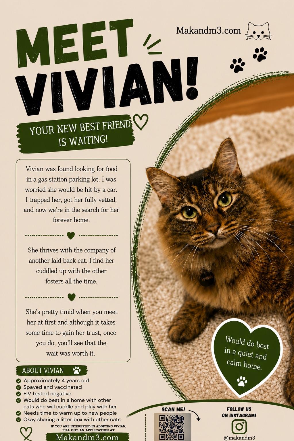 Enlarge Vivian, a Adoptable mixed breed in Albany, NY image 6/6