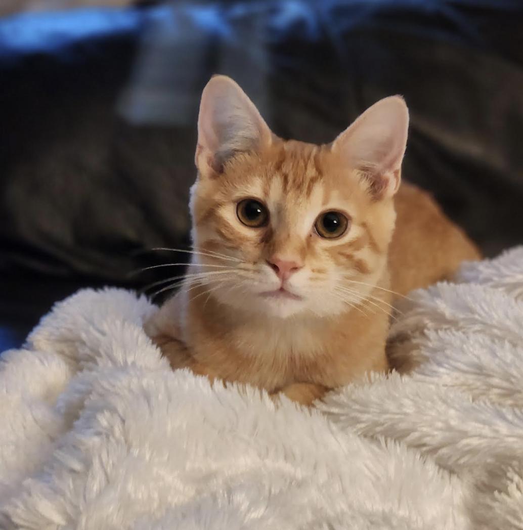 Winston photo