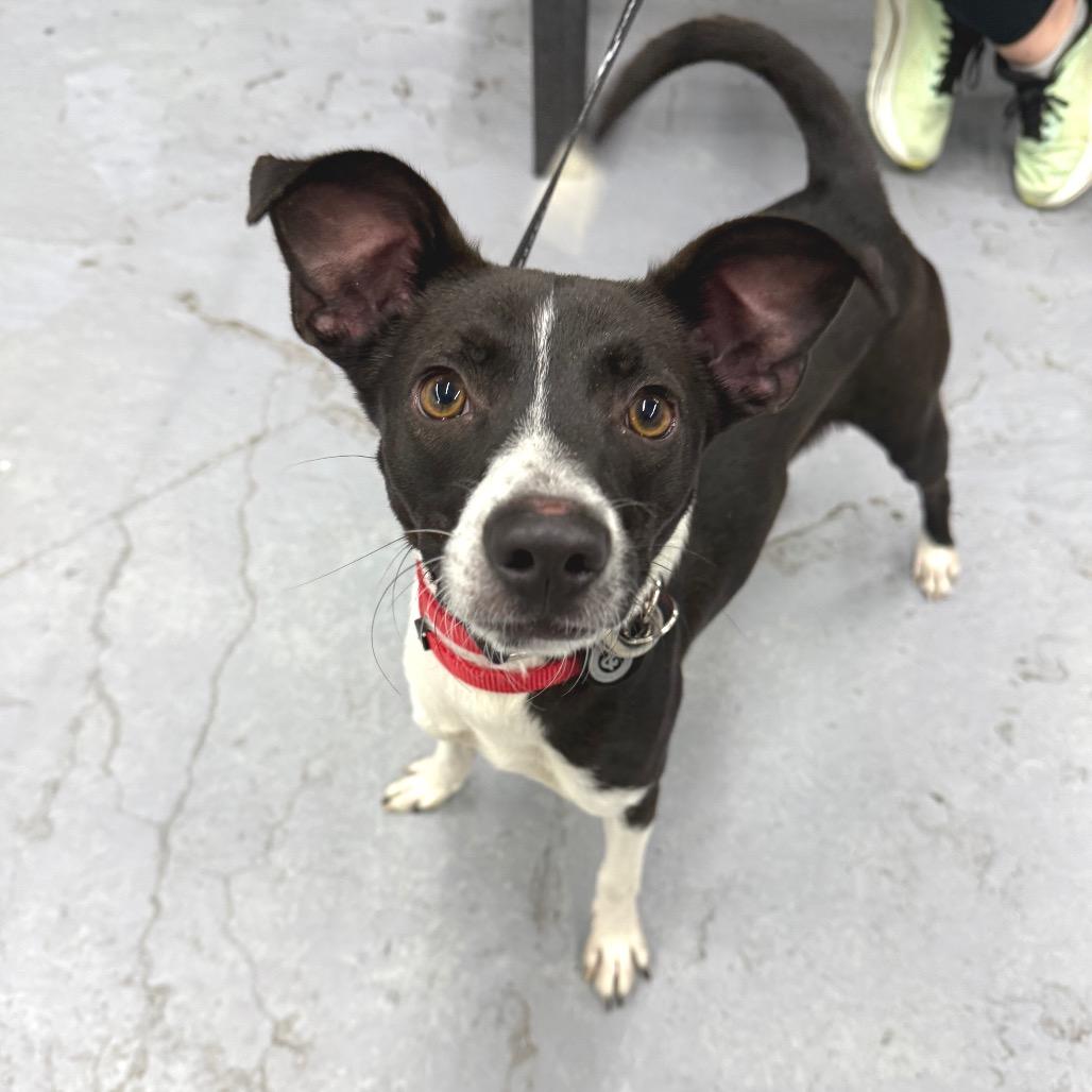 Owen Wilson thumbnail 2