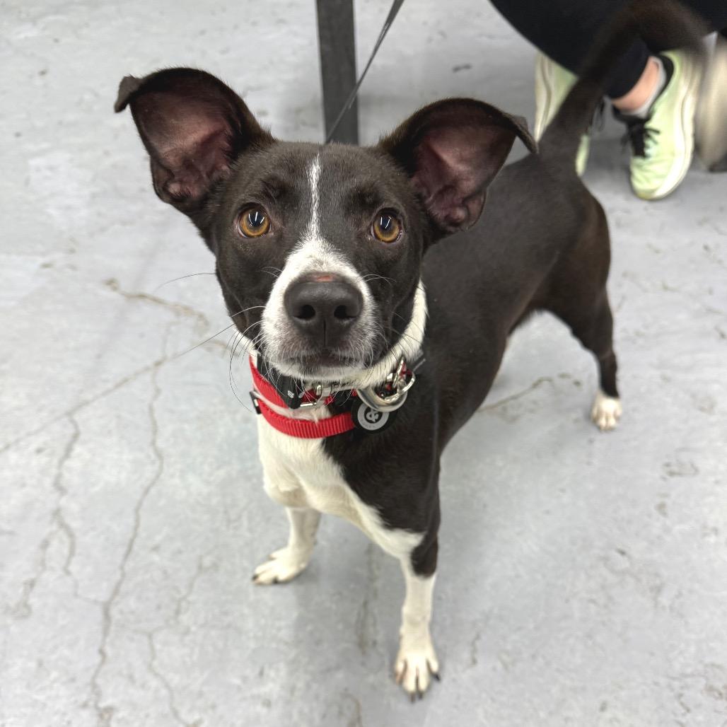 Owen Wilson thumbnail 3