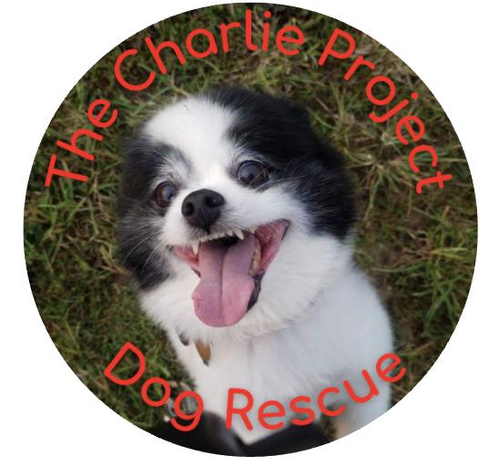 Fosters needed ASAP